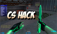 public 5.5 counter strike hack